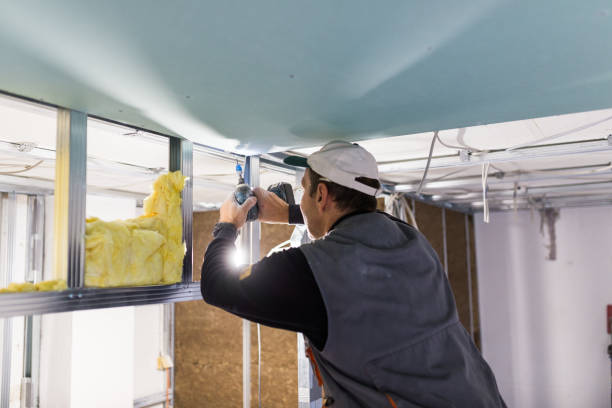 Best Commercial Insulation in Hastings, MN