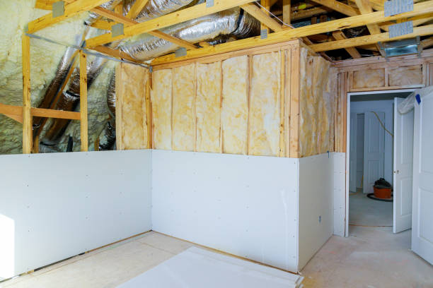 Best Insulation Installation Services in Hastings, MN